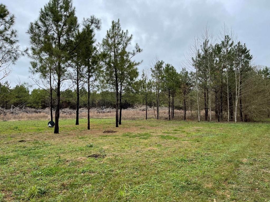 96 Moss Road Kokomo, MS 39643 - Photo 4 of 12 Photo 4