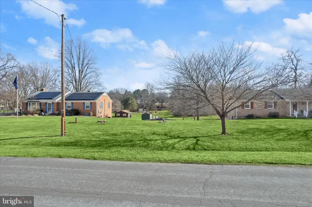 a green field with trees in the background
