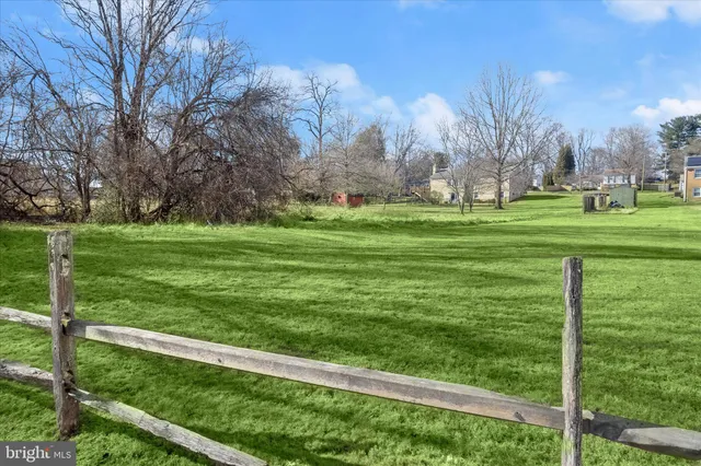 a tall tree in middle of green field