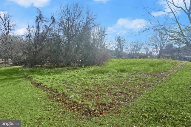 a view of a park with large trees