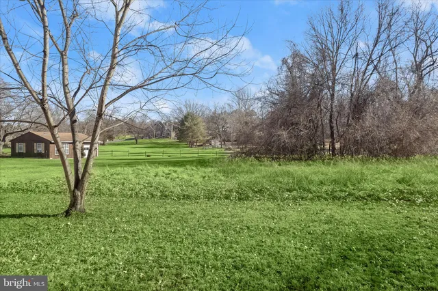 a big yard with lots of green space and deers