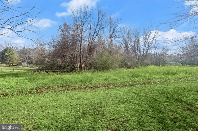 a view of backyard with large trees