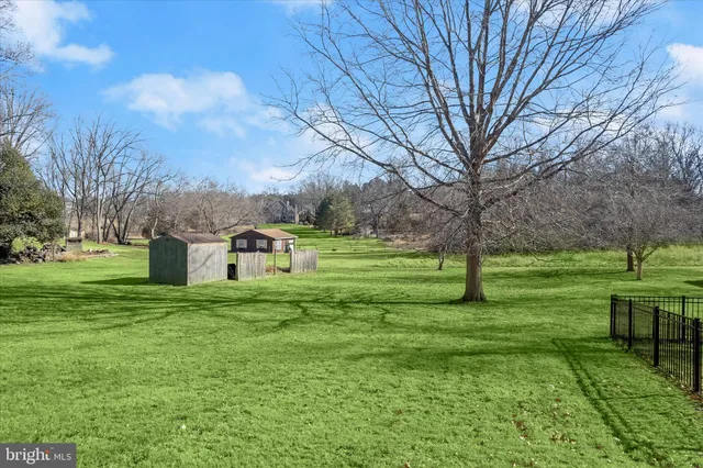 a view of a park with large trees