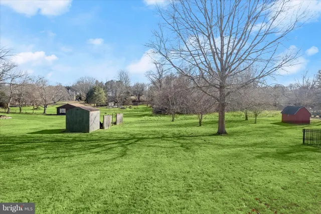 a view of a park with large trees