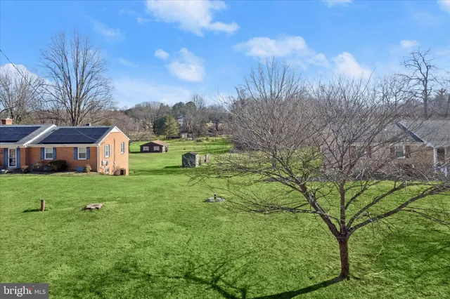 a view of a garden with large trees