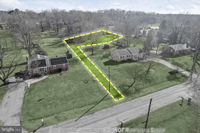 a view of a lush green field with lots of plants