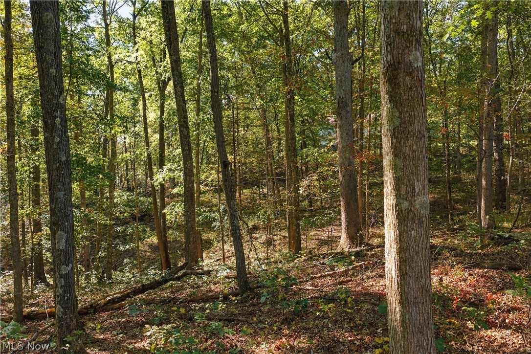 202 Mount Carmel Road Walker, WV 26180 - Photo 17 of 25 Gallery Image 17