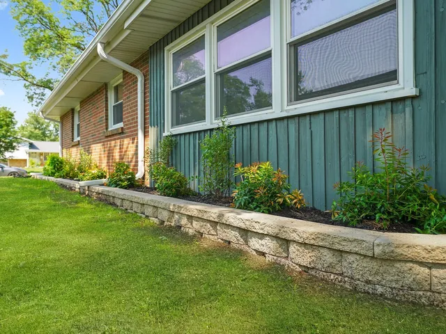 a view of a backyard with plants