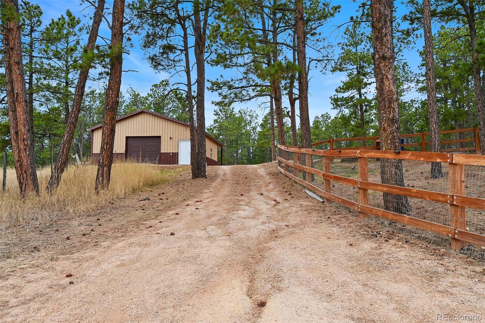 7020 Wildridge Road Colorado Springs, CO 80908 - Photo 41 of 45 a view of a yard with large trees