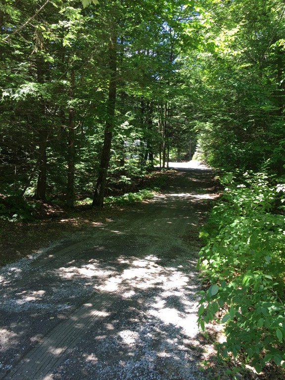15 Barre Road Templeton, MA 01468 - Photo 13 of 14 a view of a tree in a yard