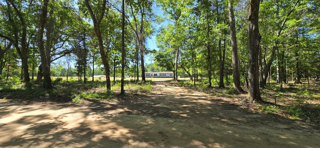 800 Grady Garner Road Slocomb, AL 36375 - Photo 4 of 49