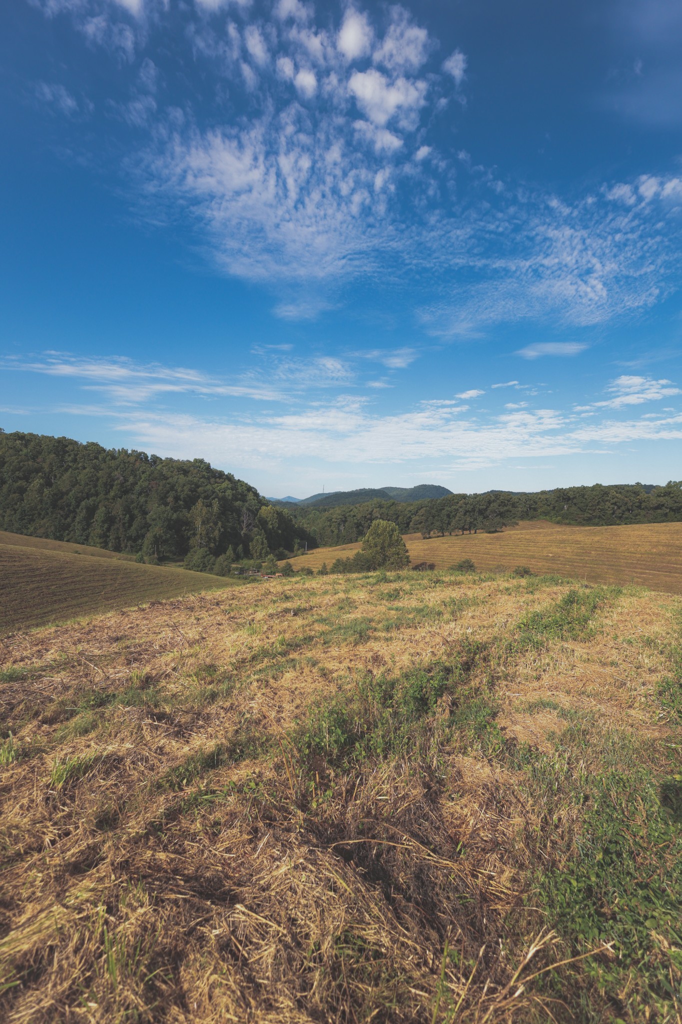 1634 Dixon Branch Road Sevierville, TN 37876 - Photo 57 of 86 Gallery Image 57