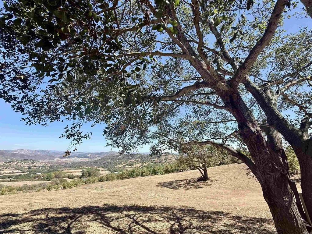 Hawks View Fallbrook, CA 92028 - Photo 10 of 36