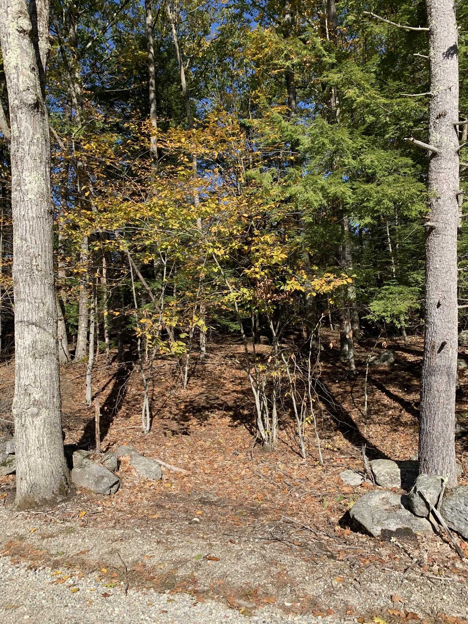 Lot 3 Journeys End Road Francestown, NH 03043 - Photo 5 of 18 Gallery Image 5