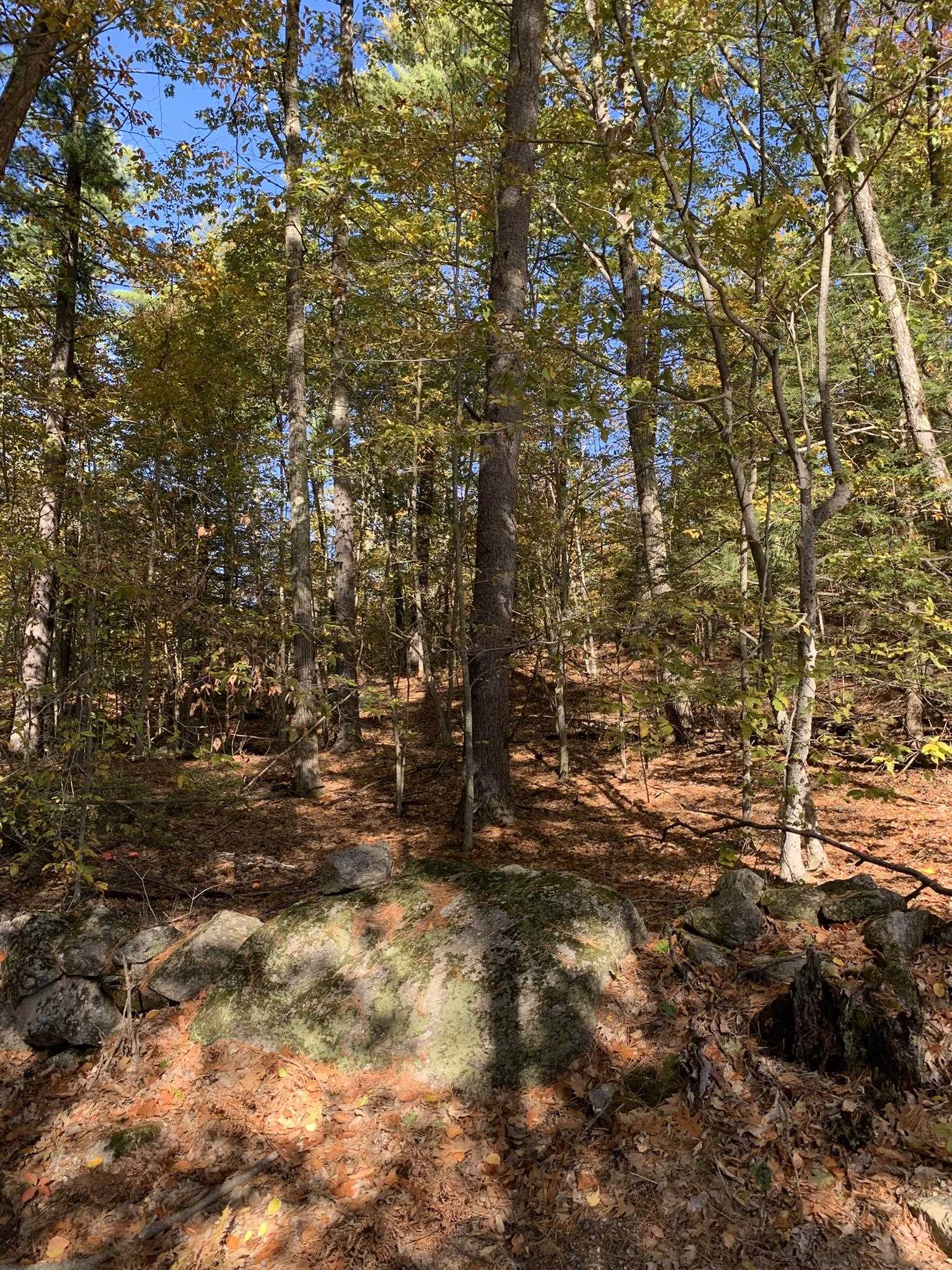 Lot 3 Journeys End Road Francestown, NH 03043 - Photo 7 of 18 Gallery Image 7