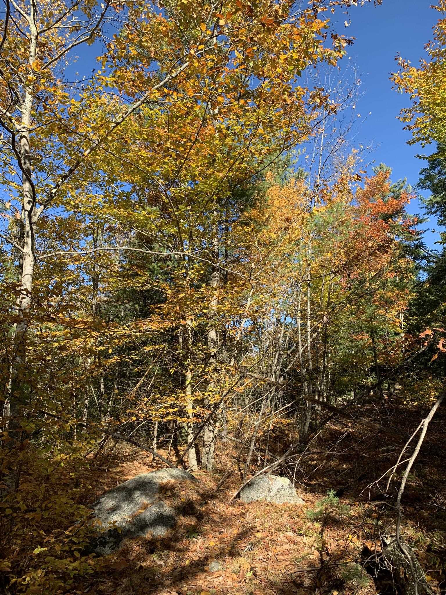 Lot 3 Journeys End Road Francestown, NH 03043 - Photo 8 of 18 Gallery Image 8
