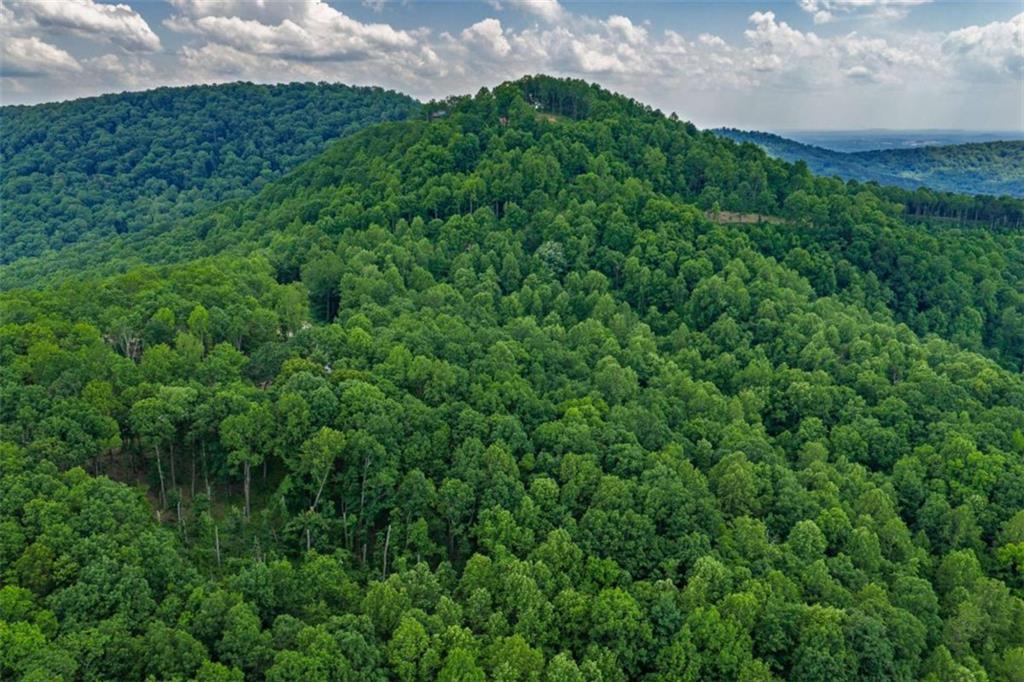 411 Calloway Mountain Road Talking Rock, GA 30175 - Photo 8 of 13 a view of a yard