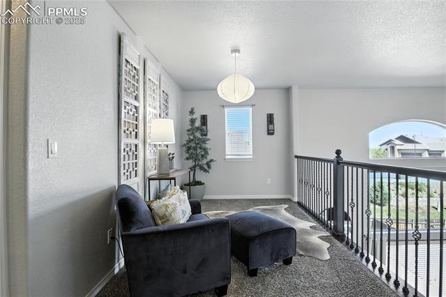 6079 Jorie Road Colorado Springs, CO 80927 - Photo 21 of 48