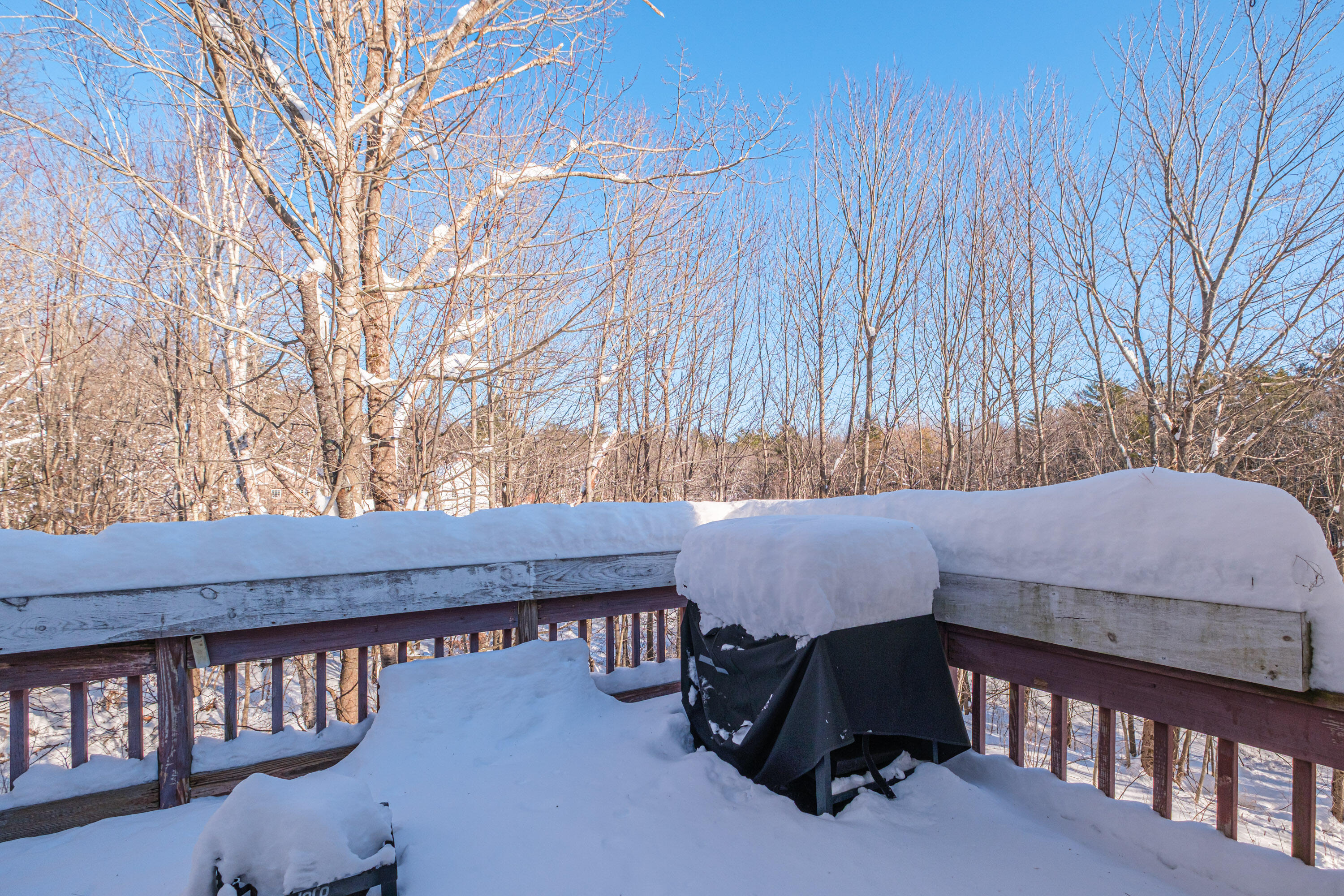 481 River Road Topsham, ME 04086 - Photo 19 of 59 20251226gp-60026