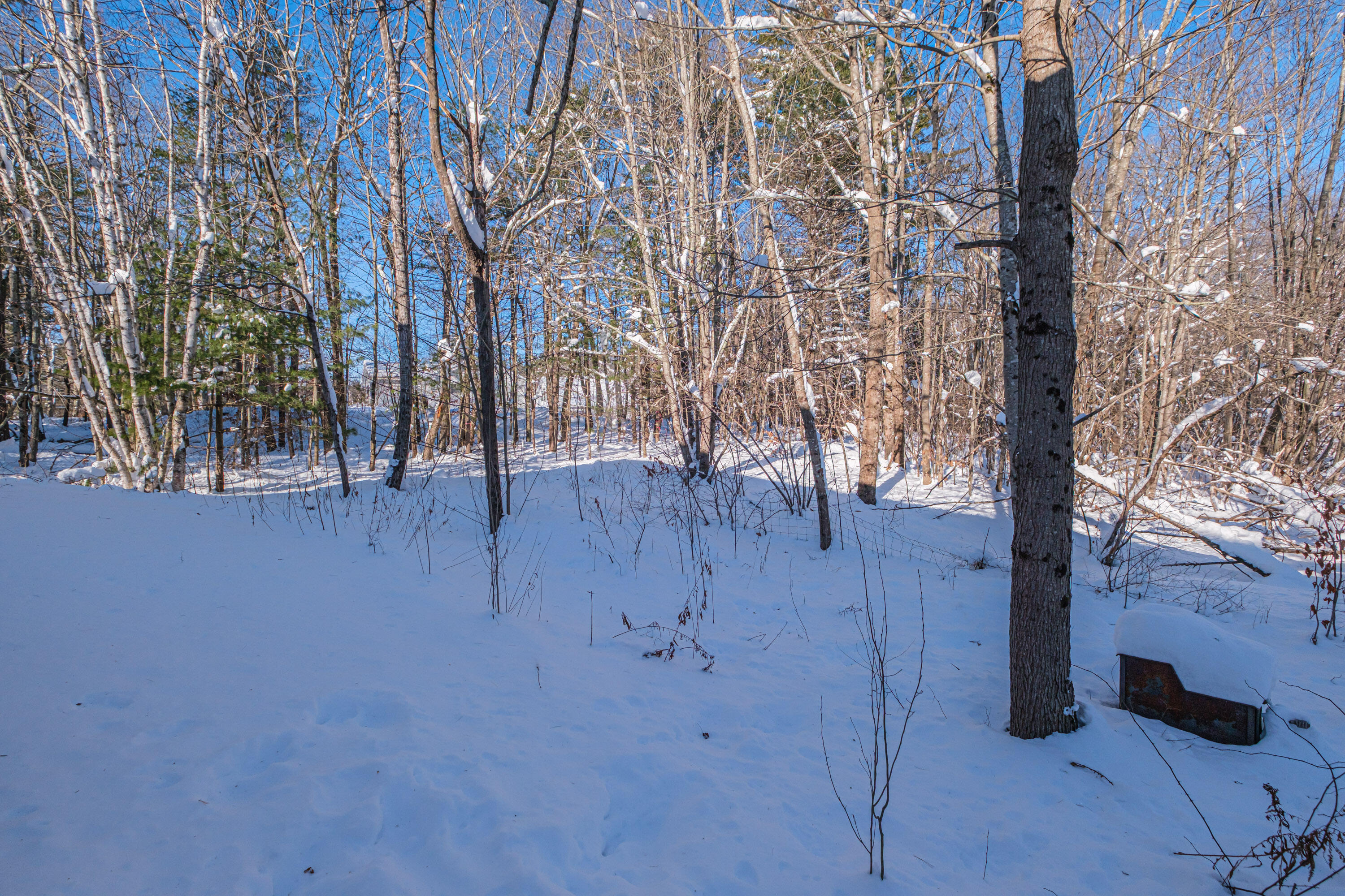 481 River Road Topsham, ME 04086 - Photo 57 of 59 20251226gp-60062