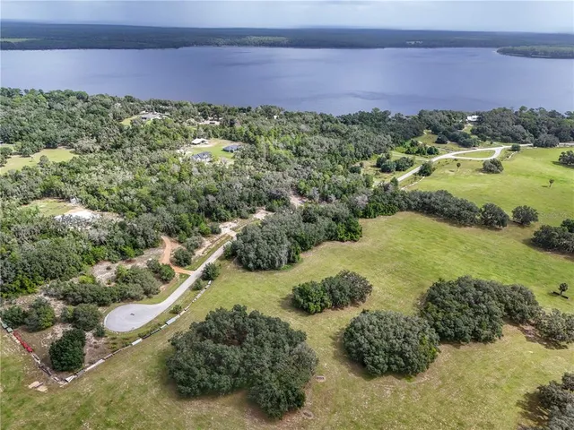 a view of a forest with a lake view