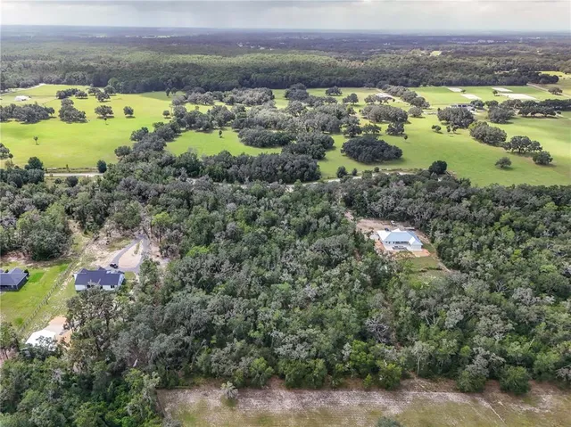 an aerial view of a houses and a lake view