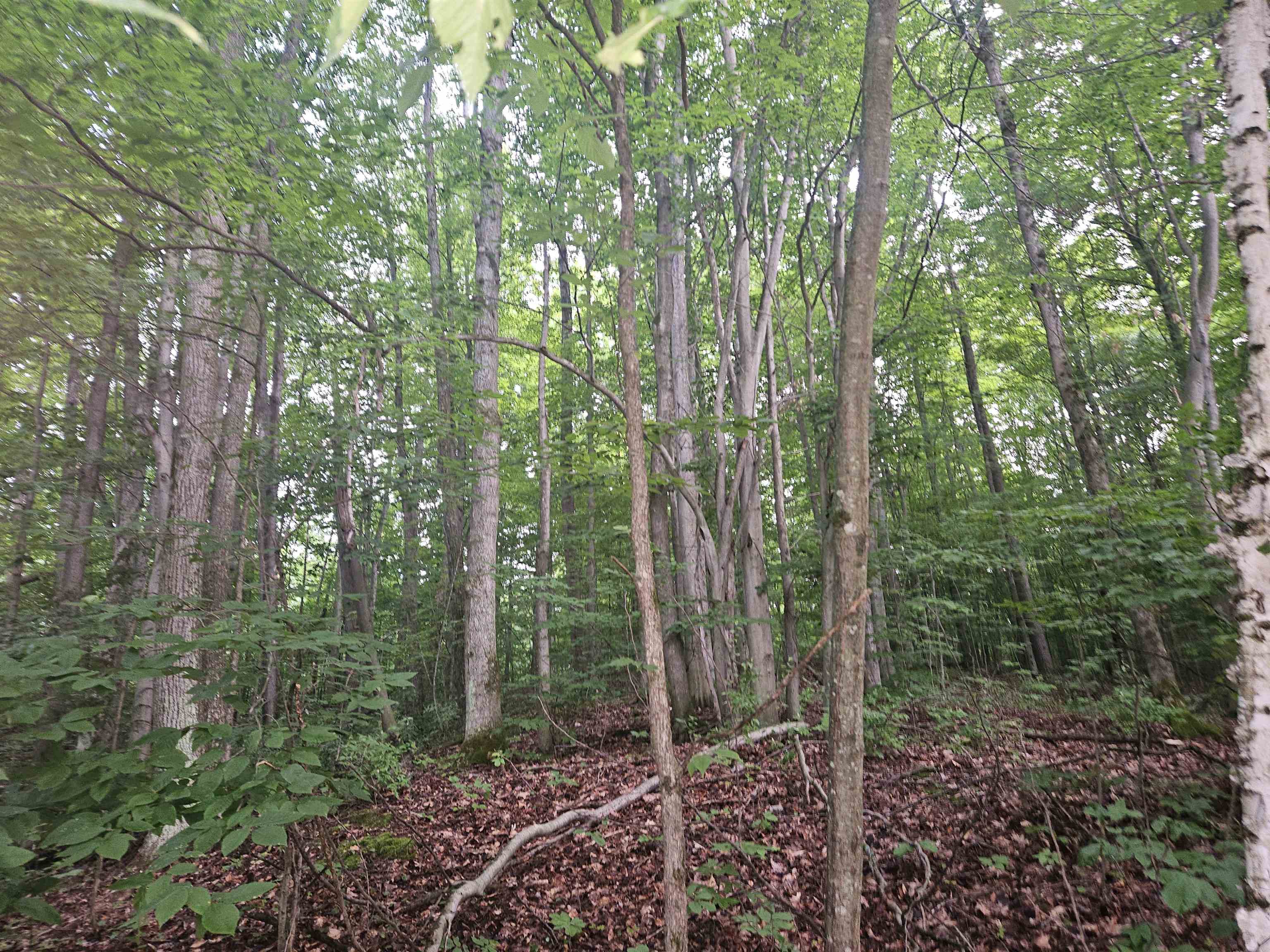 10-ac East Stockwell Road, Unit ATHEY Harrison, MI 48625 - Photo 2 of 8