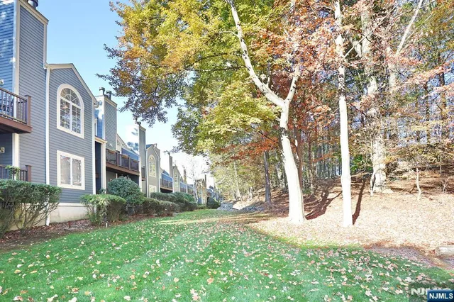 a view of street with flower plants