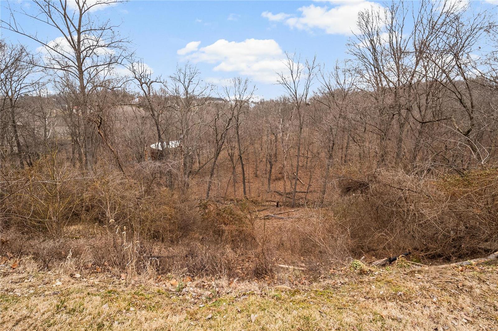 10131 Schuessler Road St. Louis, MO 63128 - Photo 49 of 53 Gallery Image 49