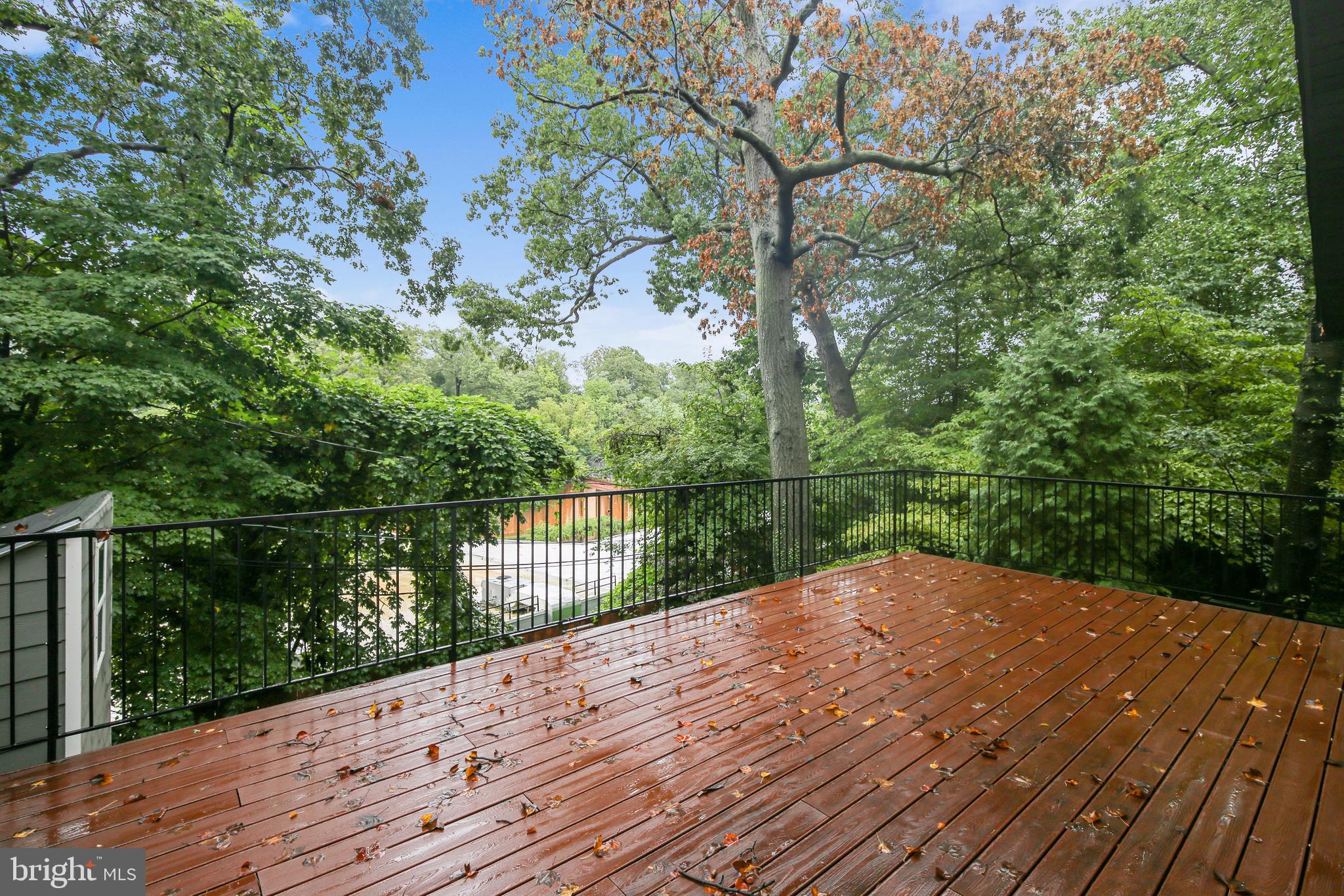 3227 20th Road North Arlington, VA 22207 - Photo 16 of 48 Treetop views
