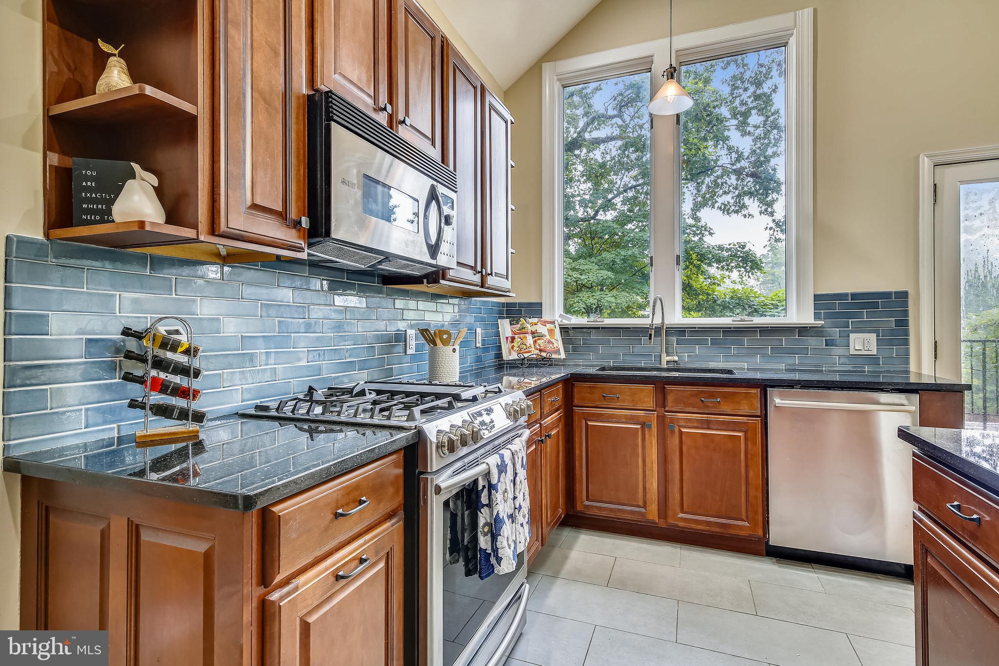 3227 20th Road North Arlington, VA 22207 - Photo 8 of 48 Updated Kitchen