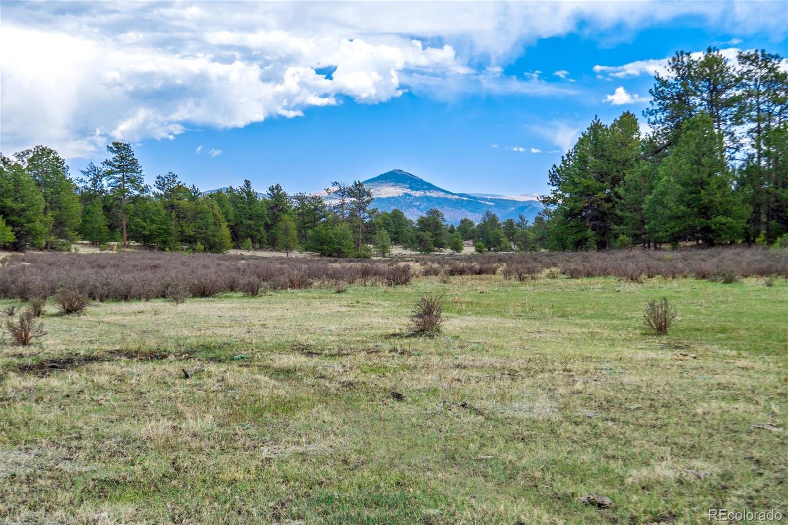 103 Doe Valley Road Guffey, CO 80820 - Photo 4 of 46