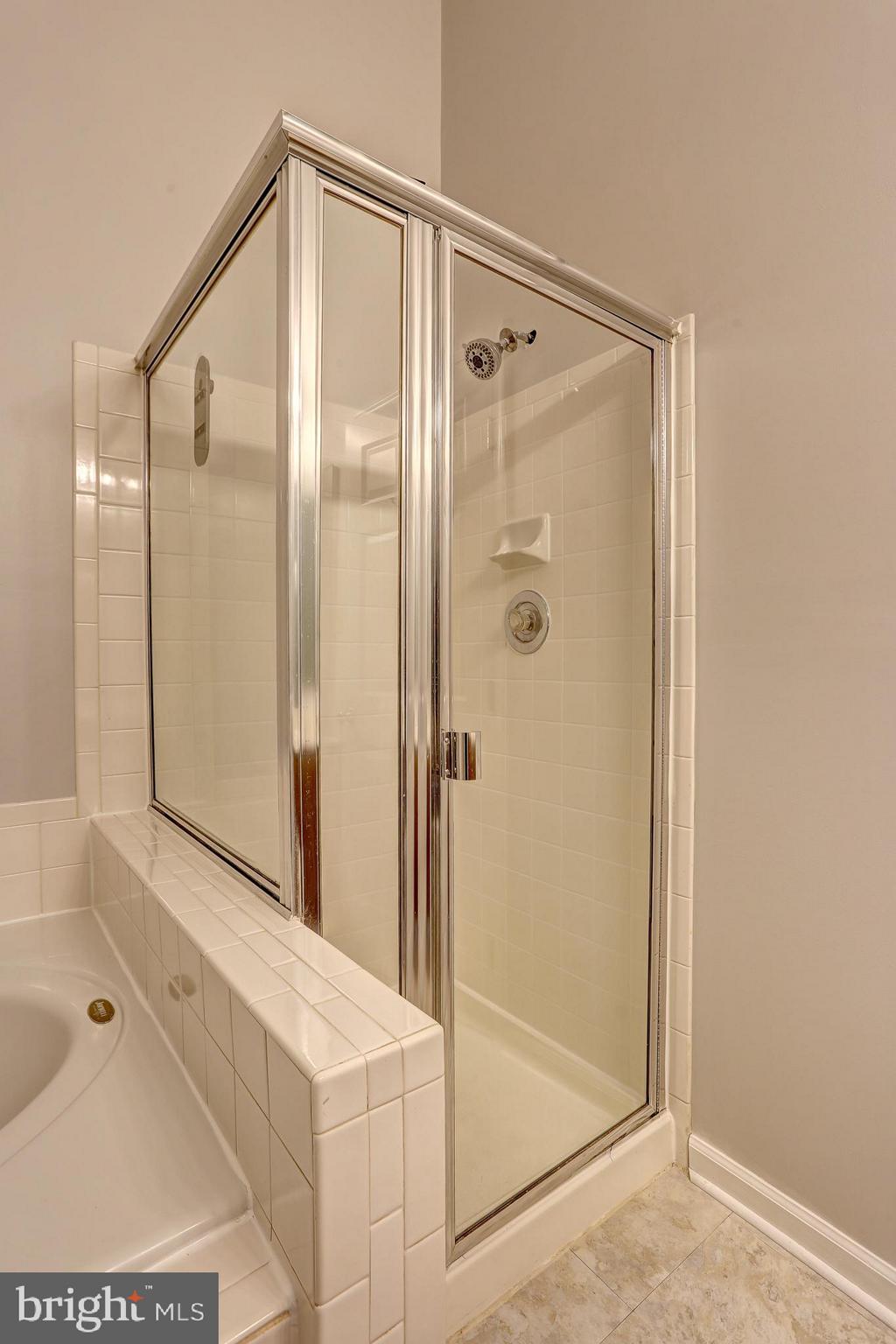 2484 Warm Spring Way Odenton, MD 21113 - Photo 21 of 40 Master shower