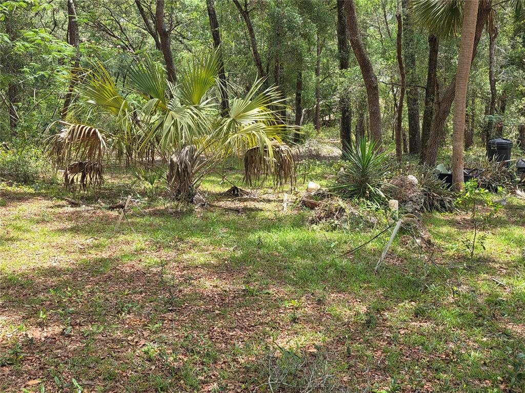 Rolling Ares Road West Lady Lake, FL 32159 - Photo 47 of 48 Gallery Image 47
