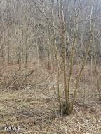 792 Adria Road, Unit 816 North Tazewell, VA 24630 - Photo 8 of 10 A road