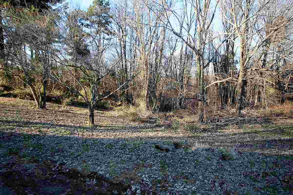 650 McStouts Road Caneyville, KY 42721 - Photo 19 of 26 Gallery Image 19
