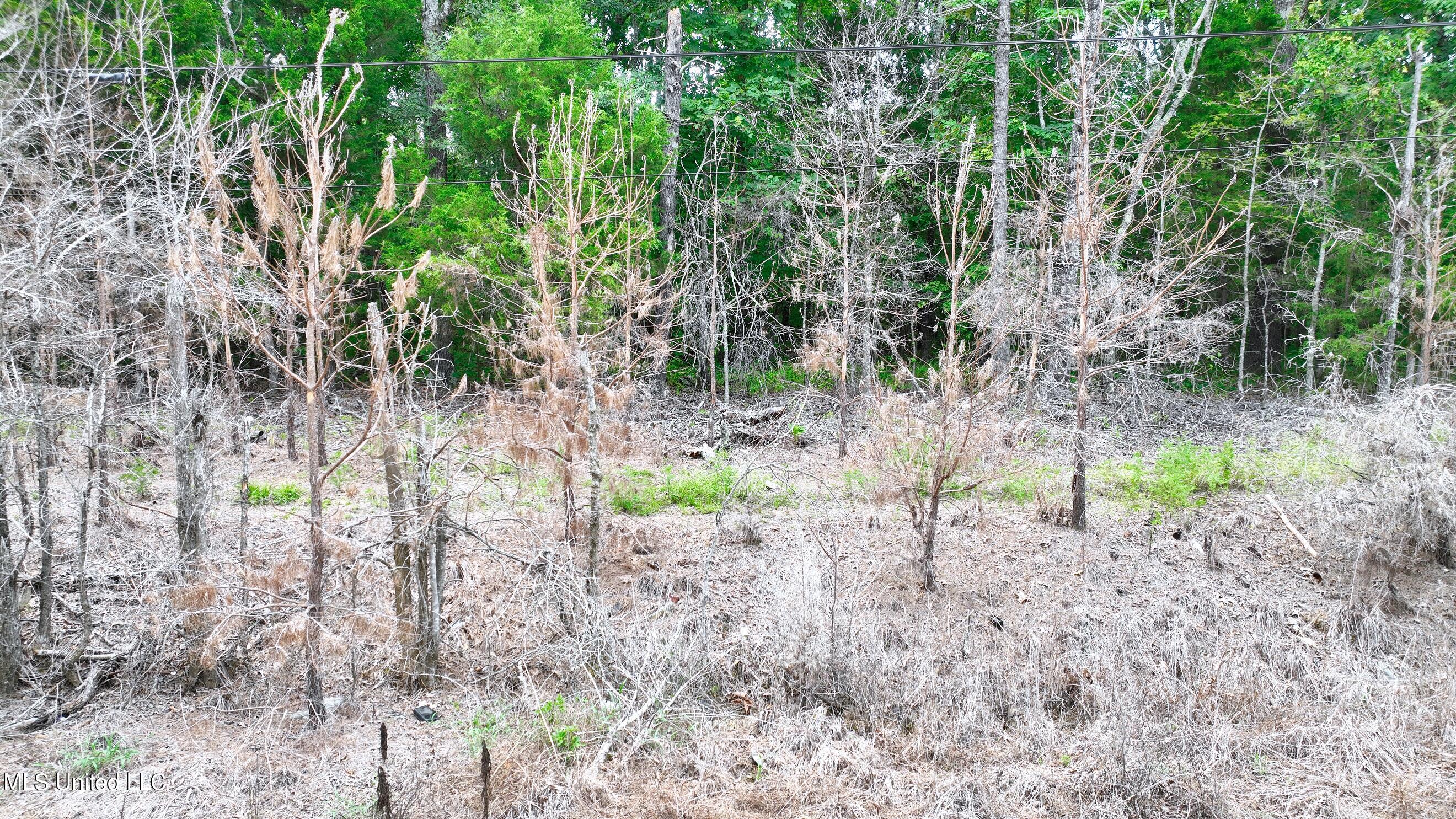 0 Zanola Road Waterford, MS 38685 - Photo 14 of 21 RES 13