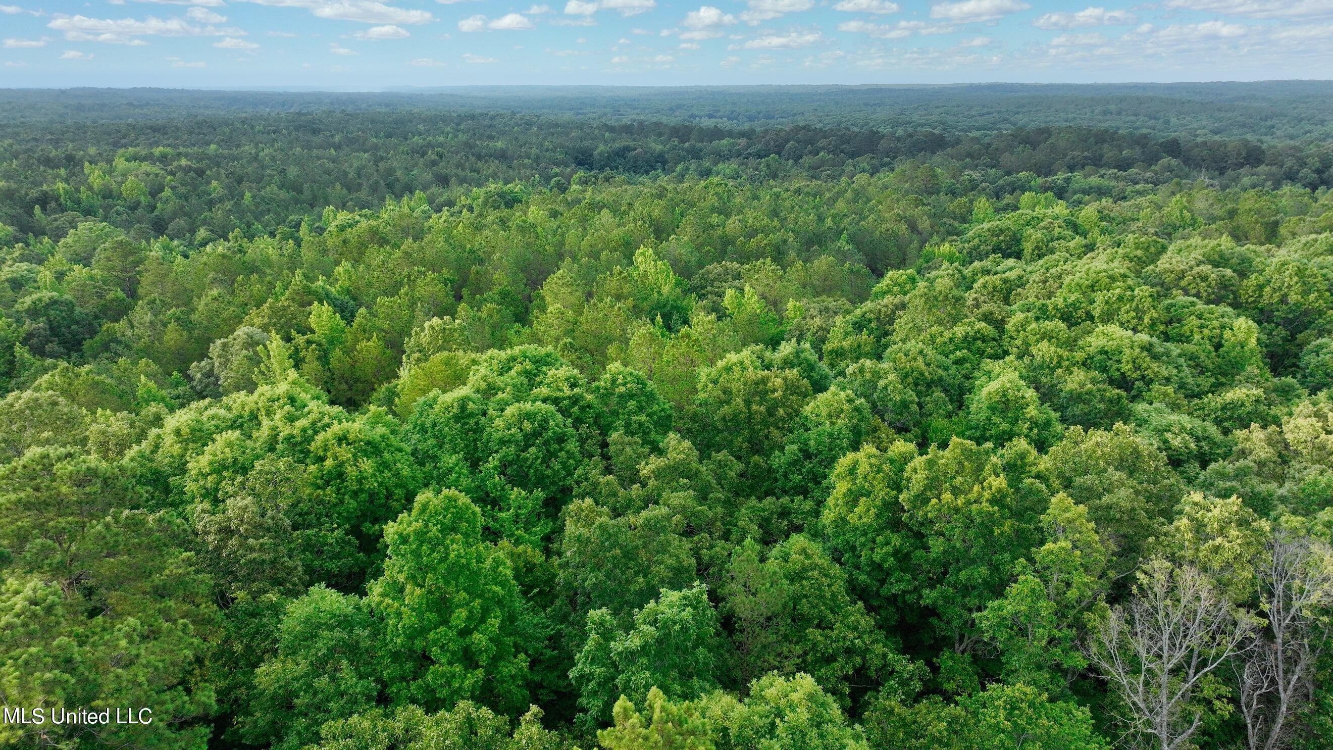 0 Zanola Road Waterford, MS 38685 - Photo 17 of 21 RES 16