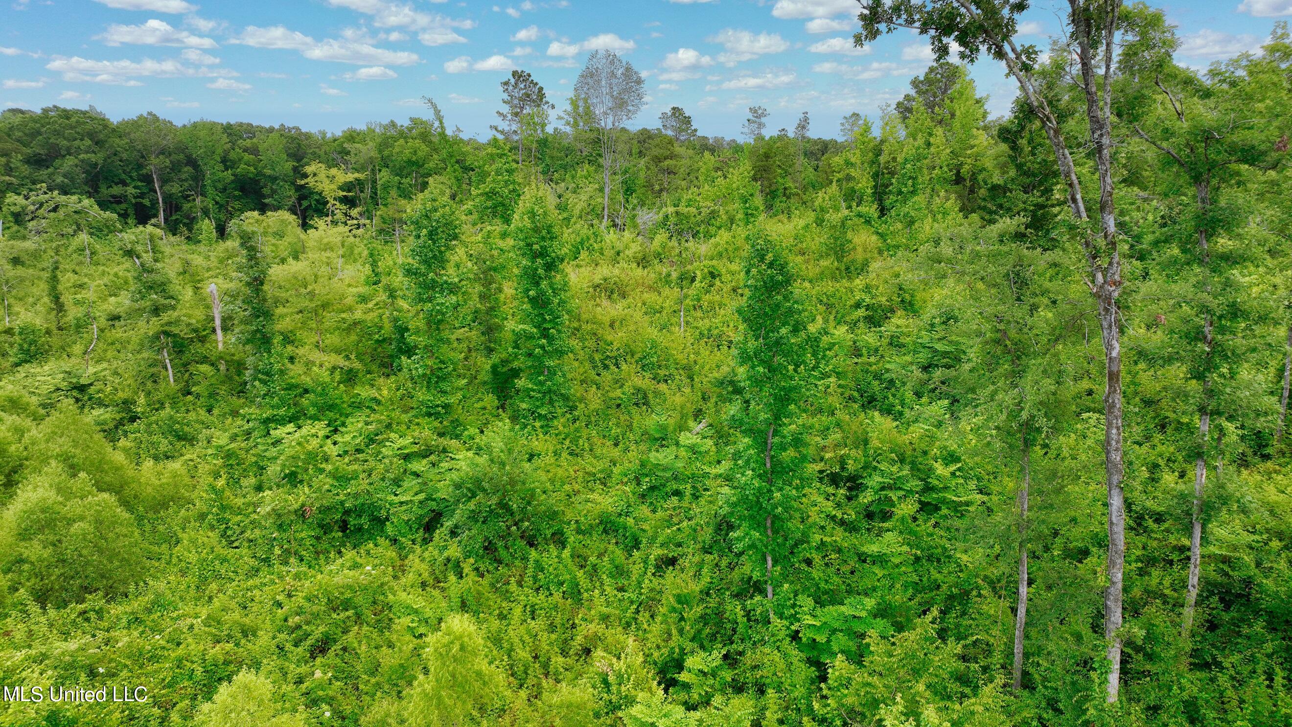 0 Zanola Road Waterford, MS 38685 - Photo 3 of 21 res 2