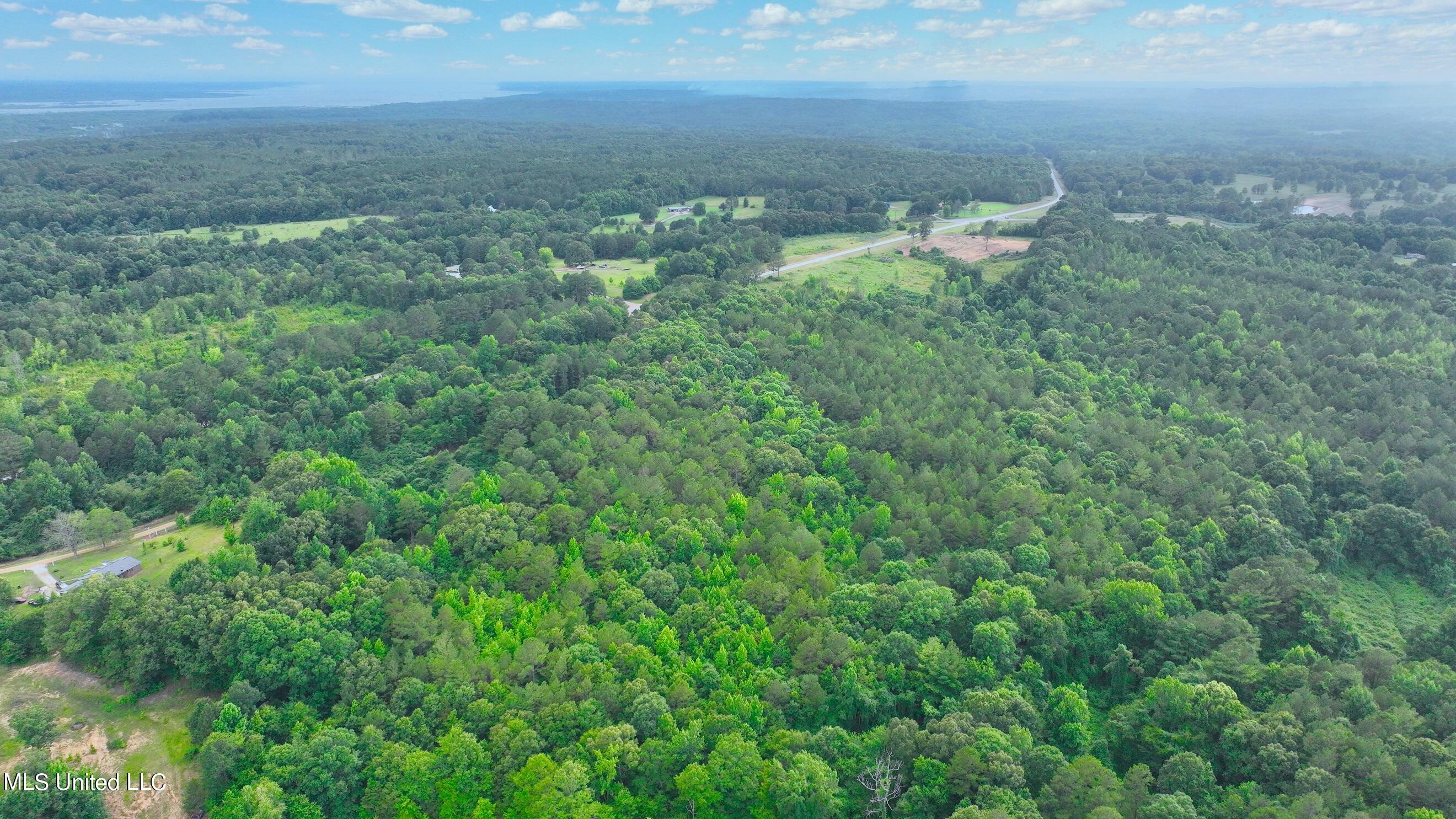 0 Zanola Road Waterford, MS 38685 - Photo 8 of 21 RES 7