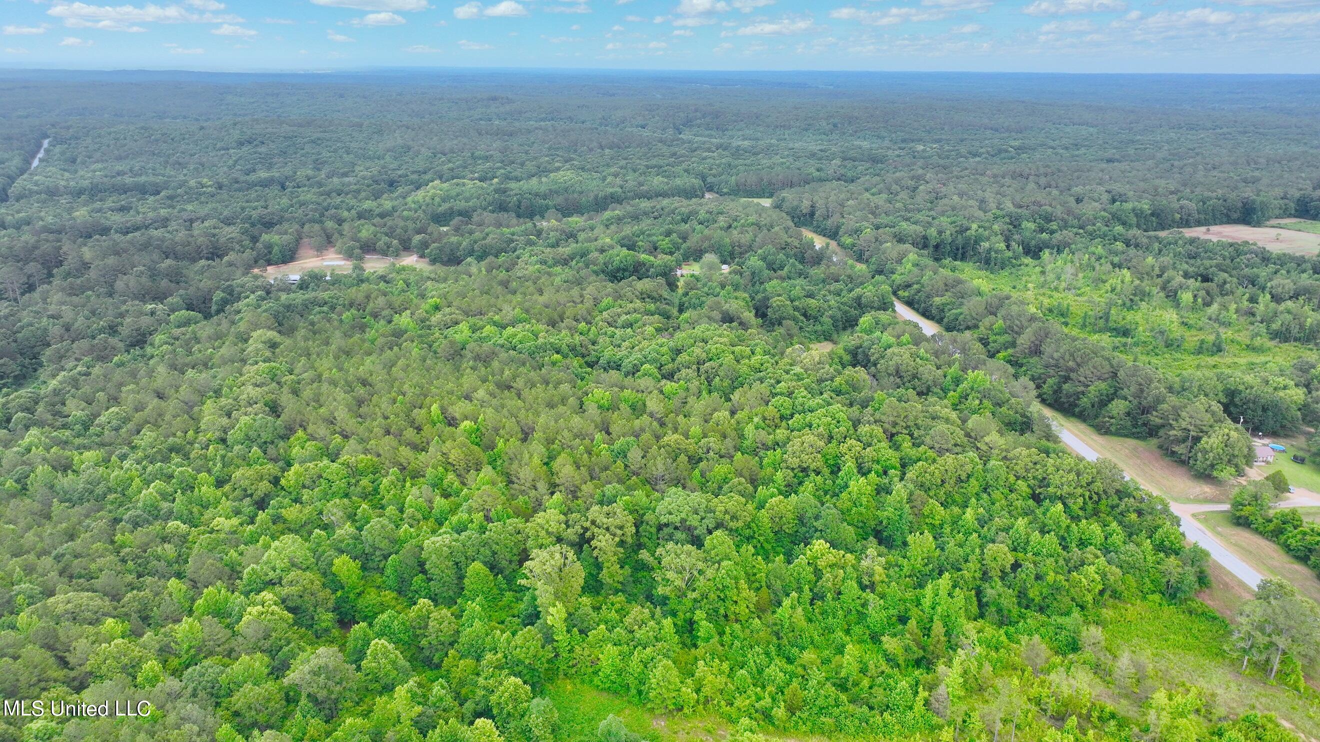0 Zanola Road Waterford, MS 38685 - Photo 10 of 21 RES 9