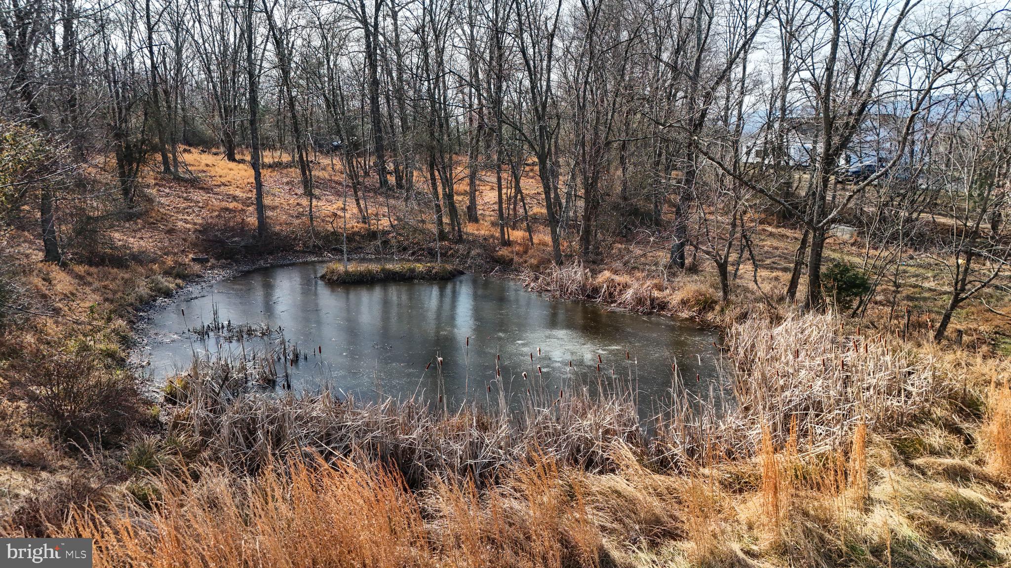 12725 Winchester Grade Road Berkeley Springs, WV 25411 - Photo 24 of 26