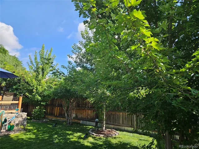 a view of a garden with a bench