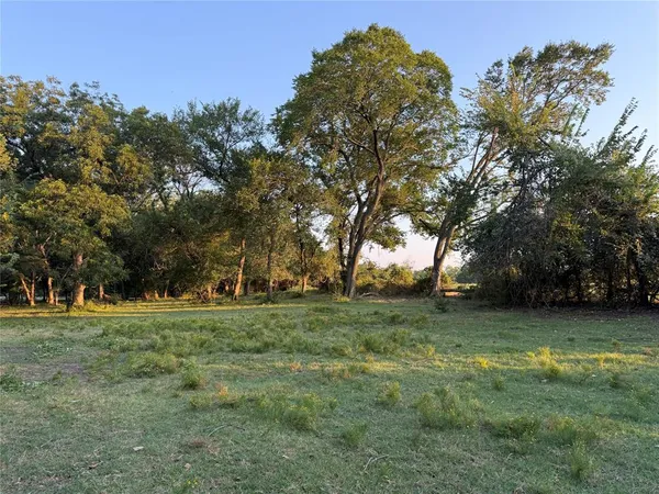a view of a trees in a field