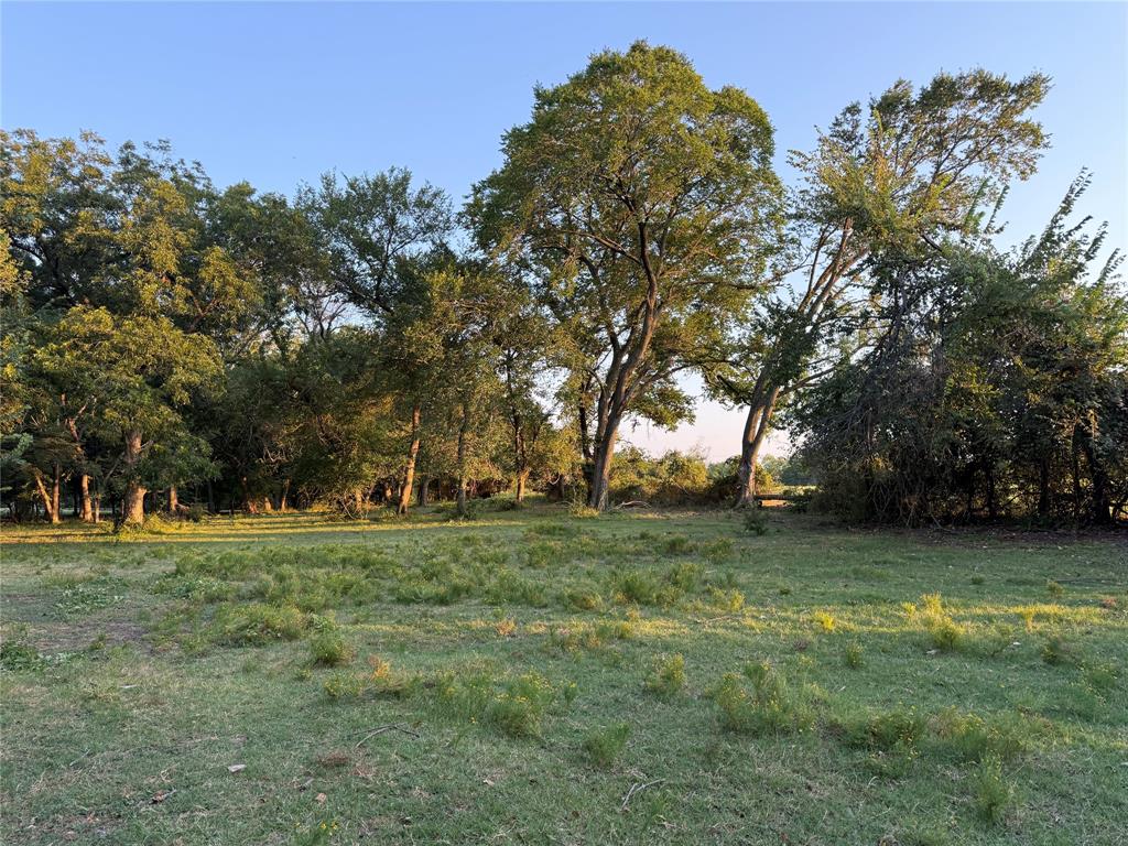 Tbd West Jeter Road Argyle, TX 76226 - Photo 6 of 9 a view of a trees in a field