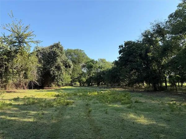a big yard with lots of green space and trees