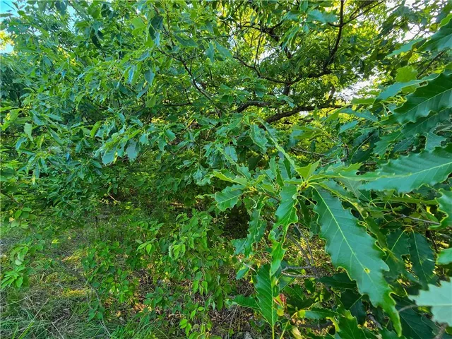 $400,500 | 57 Highway 57, Junction City, KS 66441