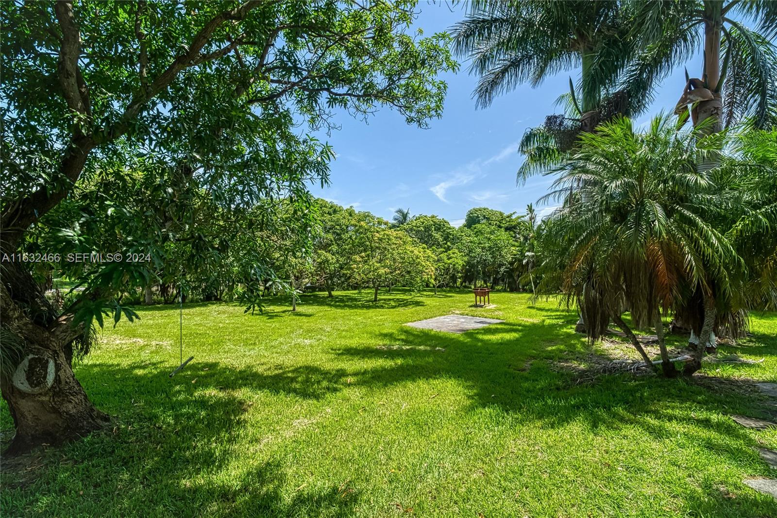 216 Southwest 6th Street Hallandale Beach, FL 33009 - Photo 43 of 70 a view of a backyard with a garden