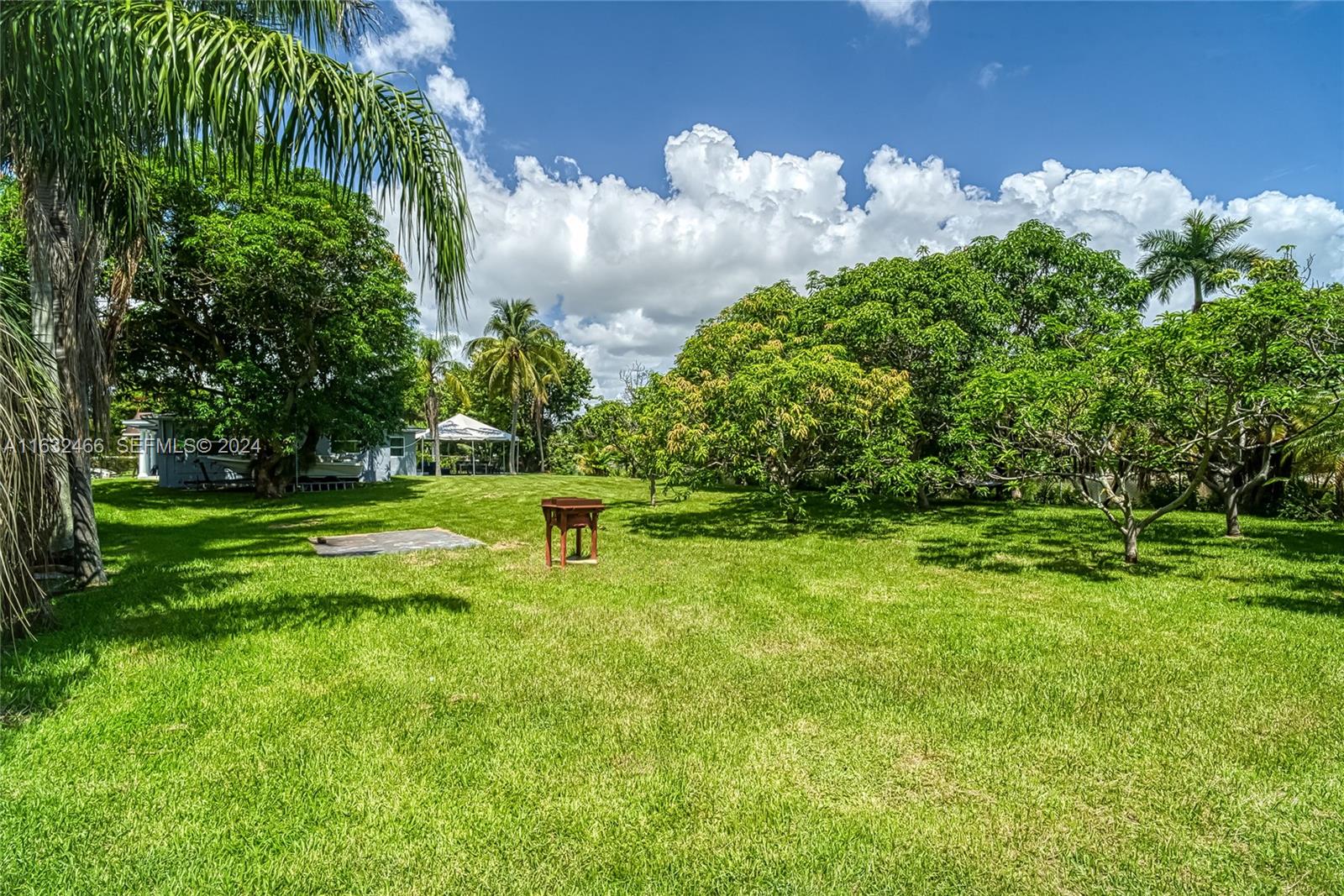 216 Southwest 6th Street Hallandale Beach, FL 33009 - Photo 44 of 70 a backyard of a house with lots of green space