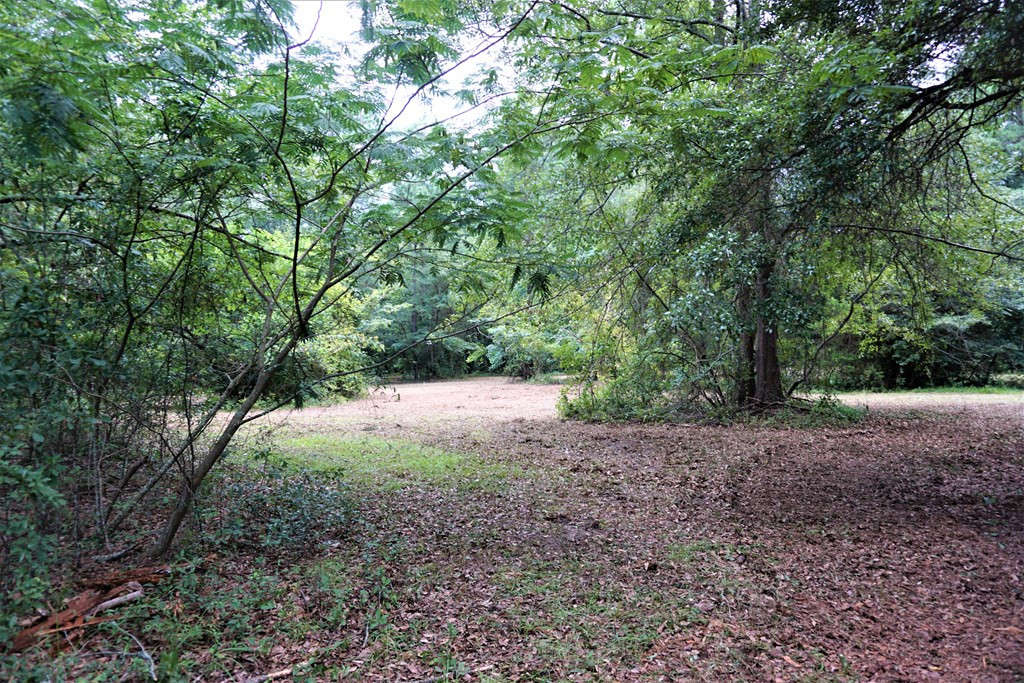 3540 Barkley Road Sumter, SC 29154 - Photo 12 of 20 Gallery Image 12